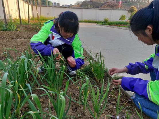 贾慧玲简介,贾慧玲河南