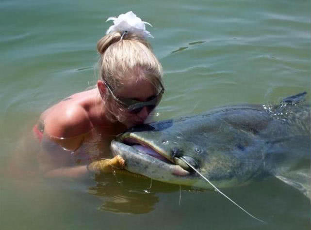 渔政对钓鱼有什么规定,中国渔政解读钓鱼政策