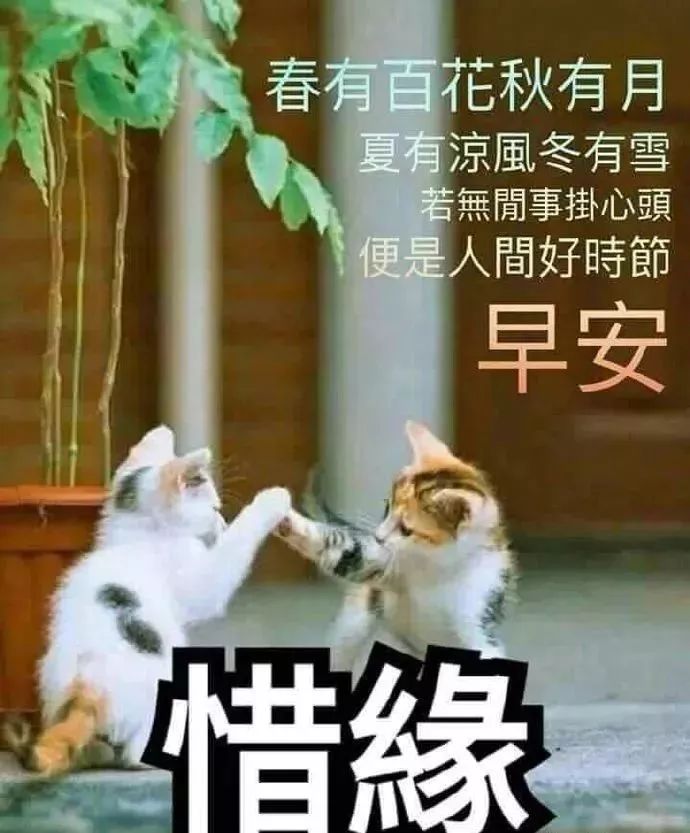 早上好亲友问候图片文字分享,早上好亲友温暖的问候