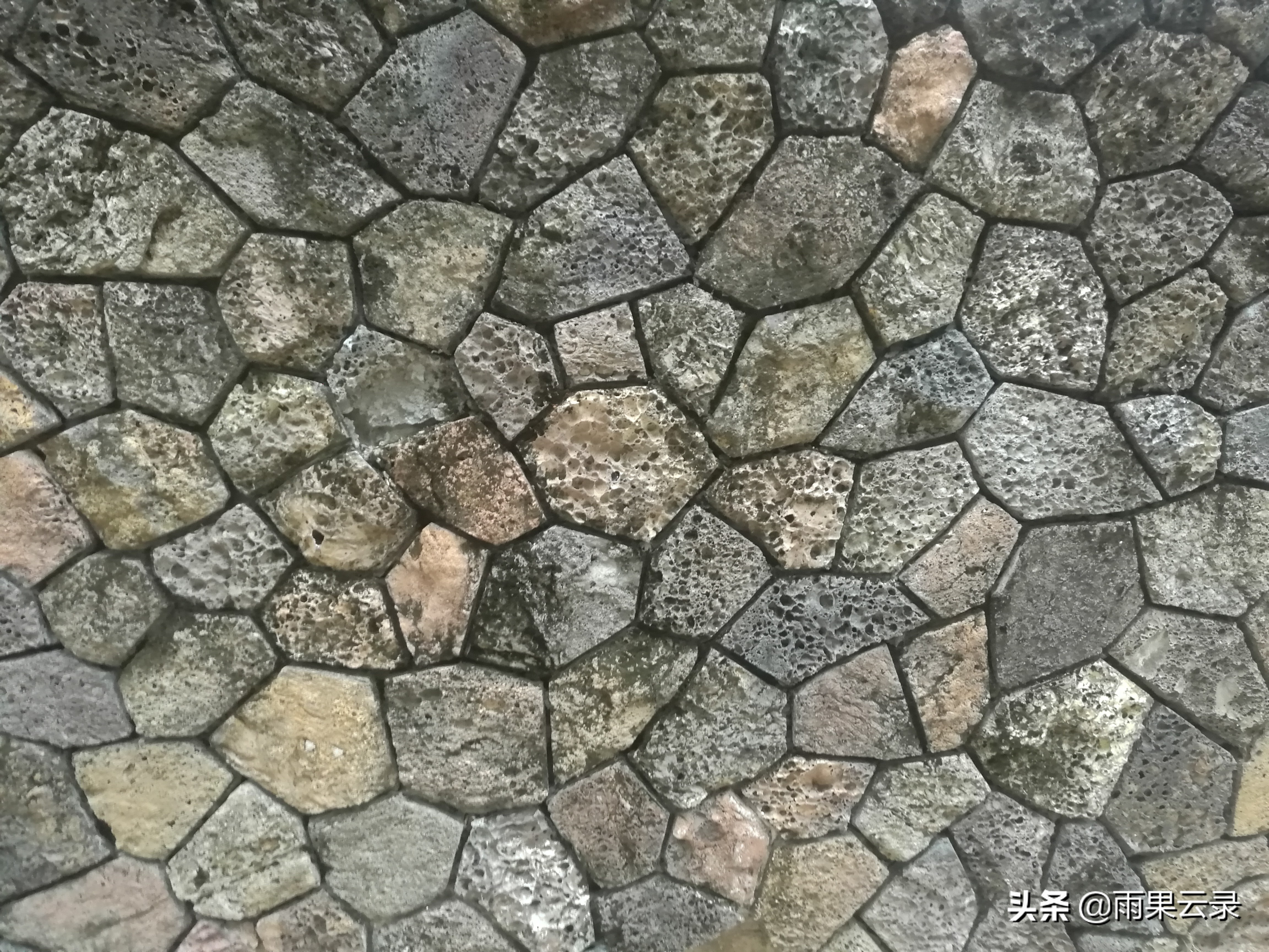 人文纪实｜孙子大学毕业分家离开，没返城老知青的尴尬晚年（下）