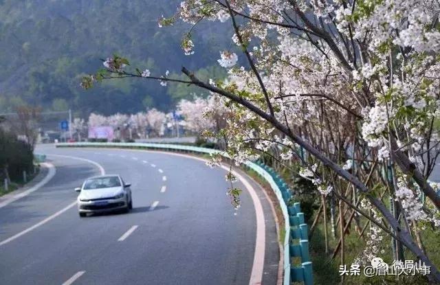 跑过眉山的6园3桥8路不负“东马”不负美景