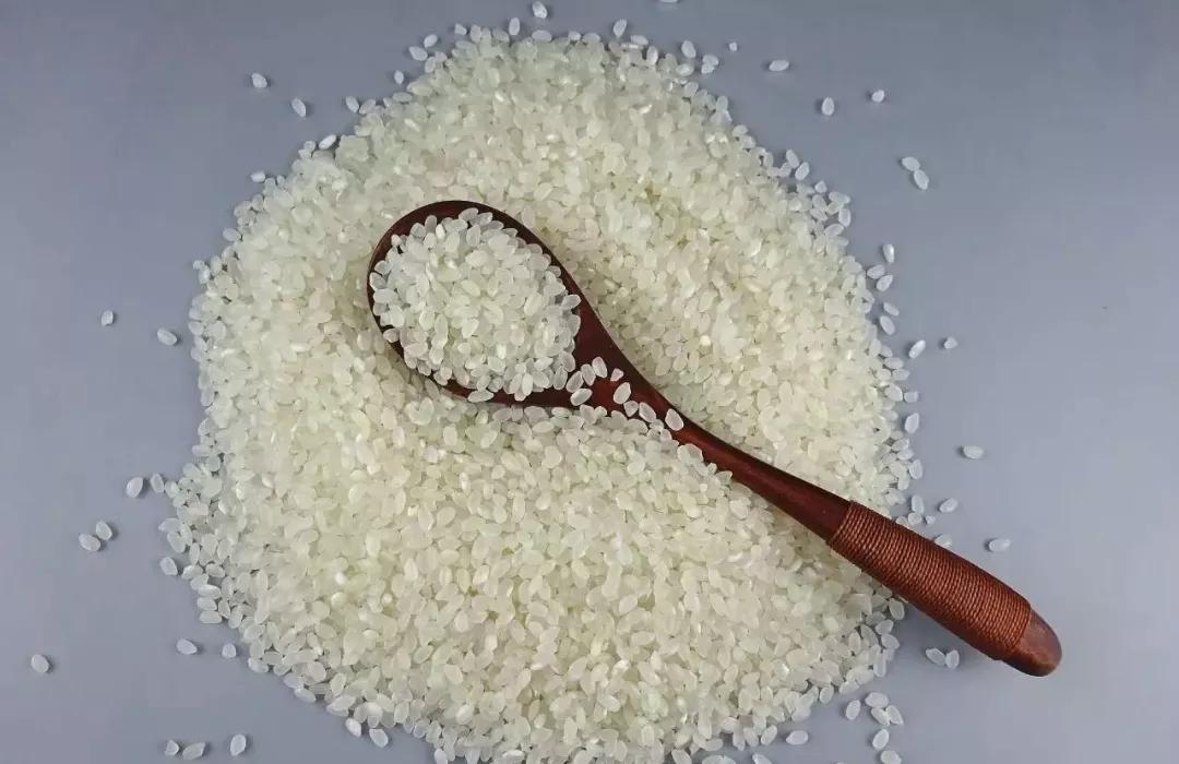 为什么大米夏天生虫子,大米在什么情况下会生虫子