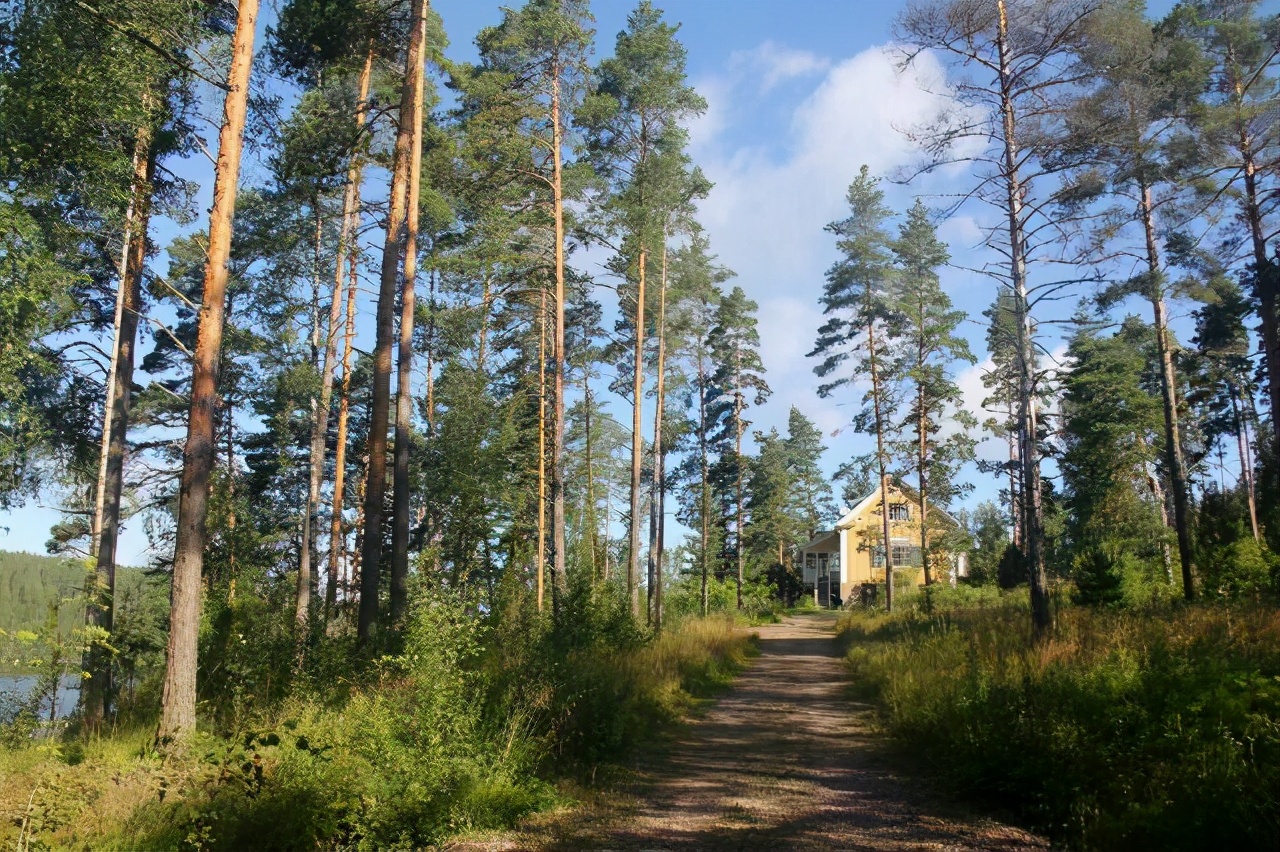 圣诞老人的故乡，芬兰500马克钞票上面缔造北欧民族史诗的大咖