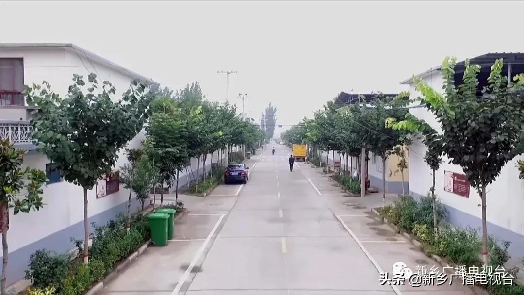 新乡县2020年的乡村振兴,河南新乡乡村振兴战略