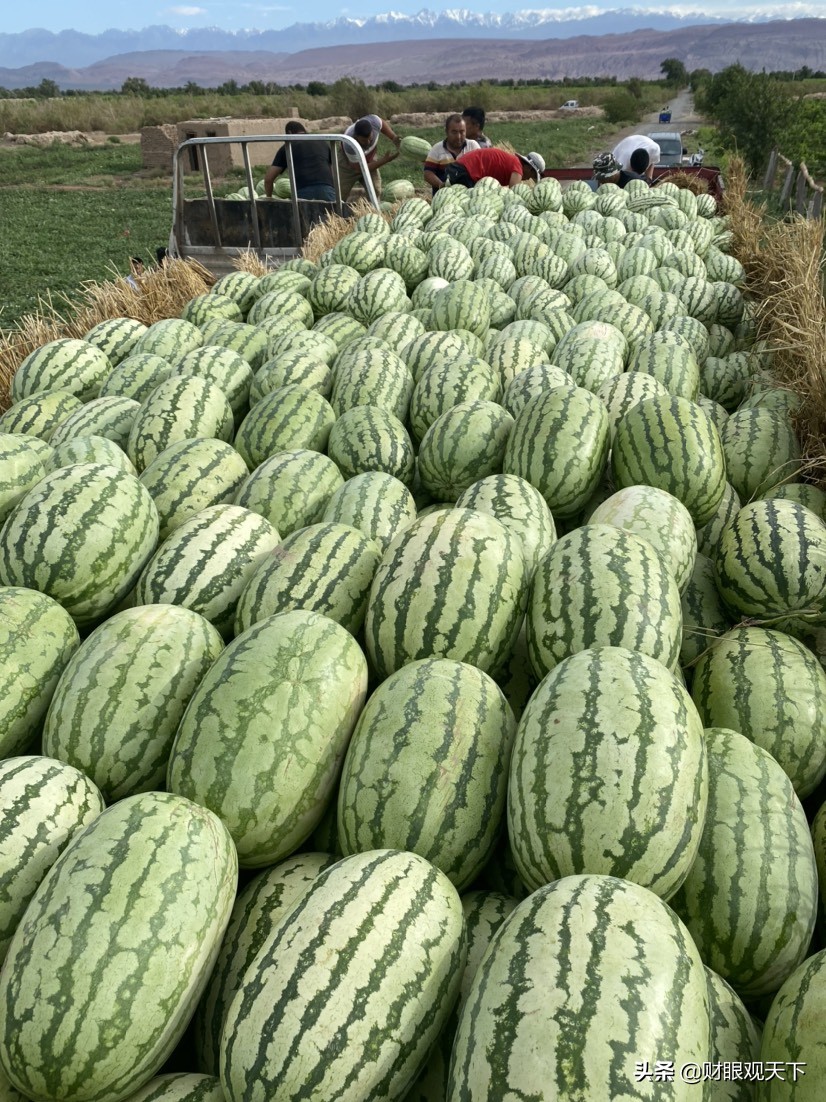 不能错过的*疆新**水果（一）