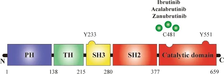 btk抑制剂是口服药吗,btk抑制剂脱靶效应