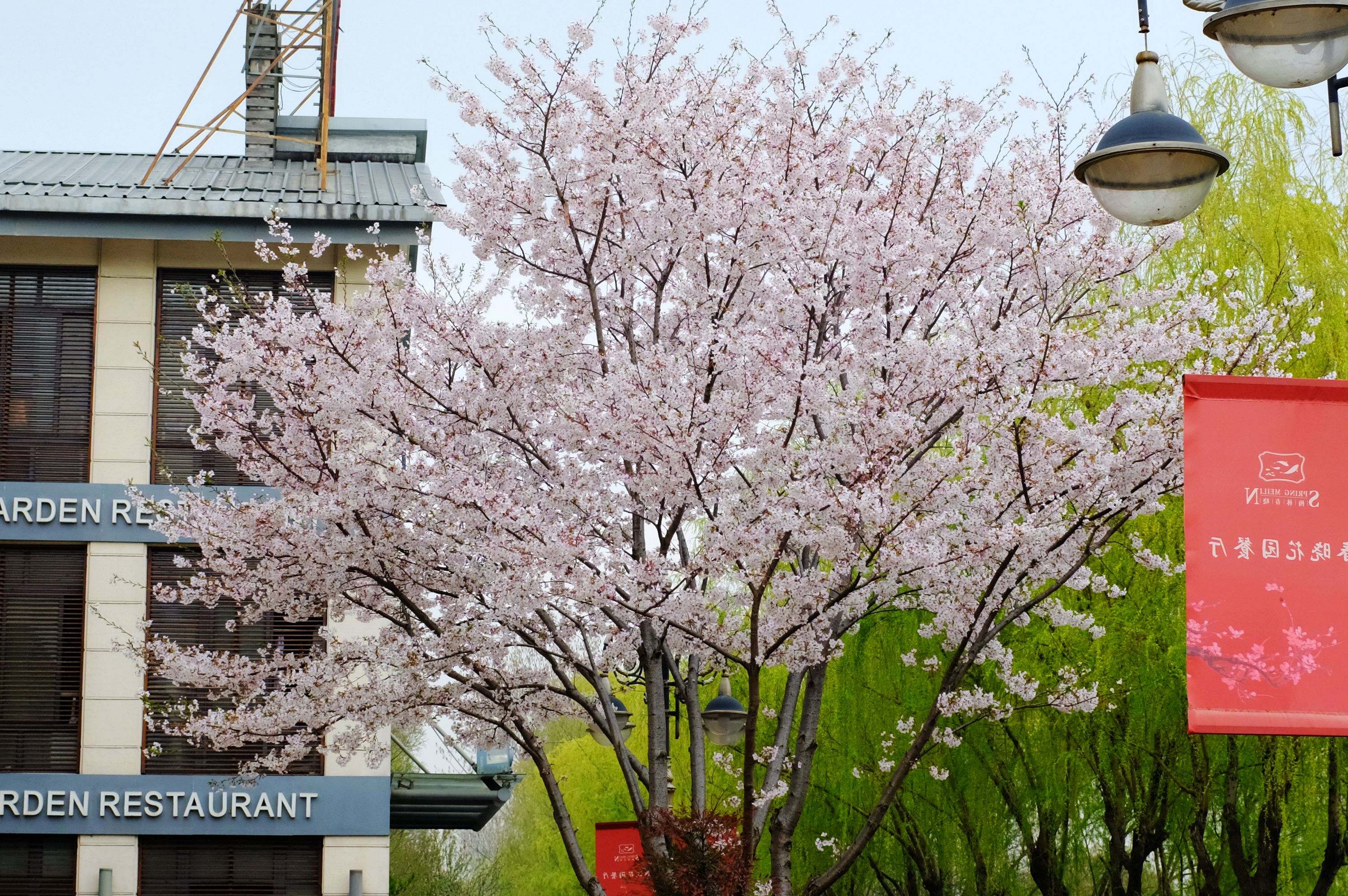 地方清明时节特色美食,清明各地方美食