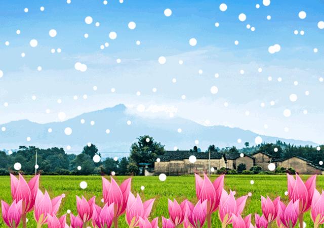 雪中莲笛子,诗歌雪中佳人