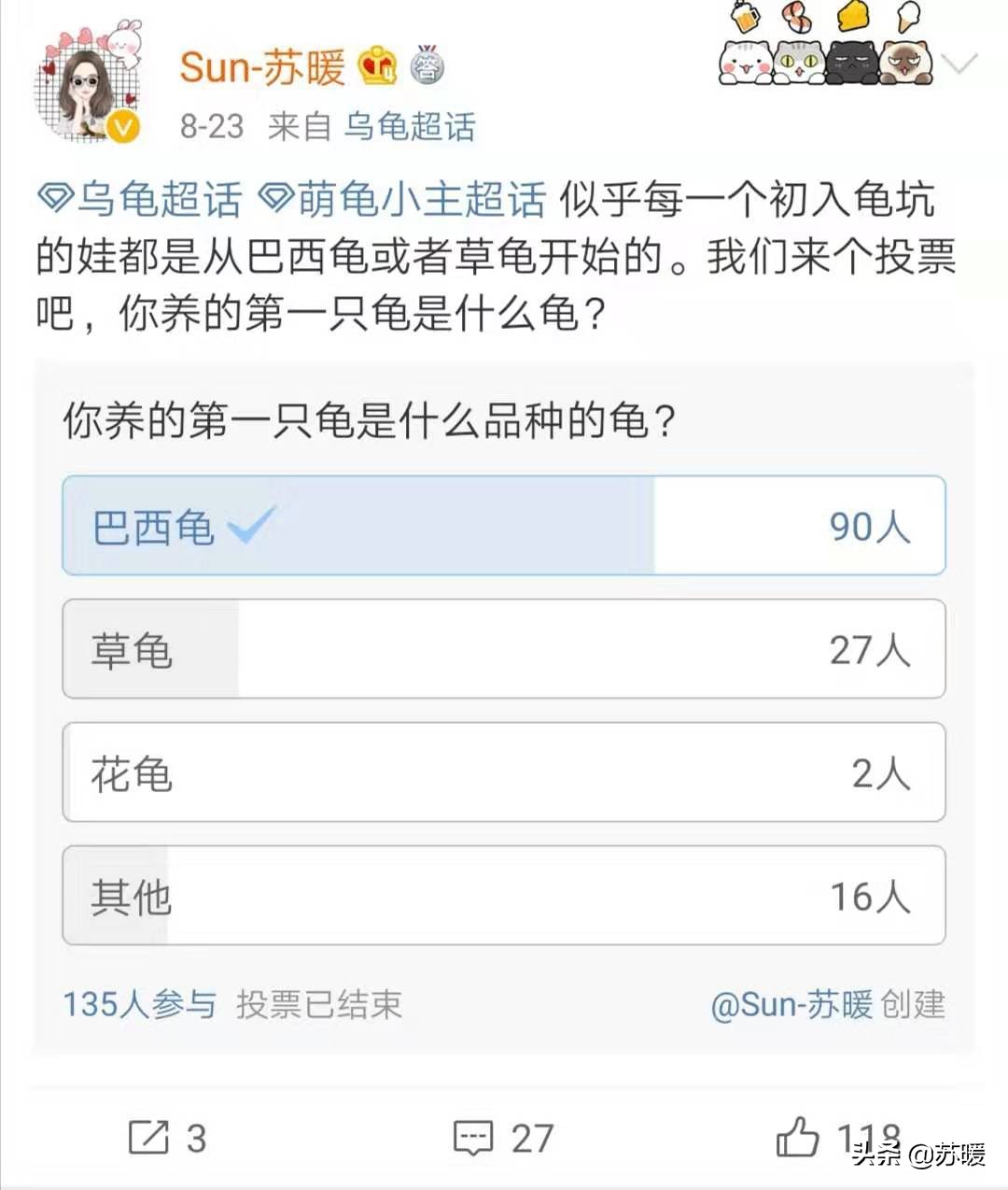 红耳巴西龟怎么养最简单的,养巴西龟的正确方法图解