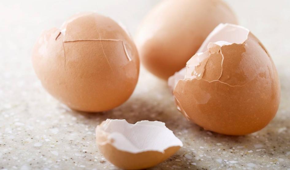 家庭养花疏松透气配土材质,养花的土怎么才能疏松透气