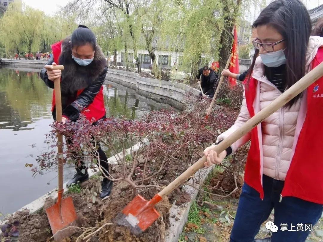 湖北一名副省级领导撰写读后感荐书：古树的情怀