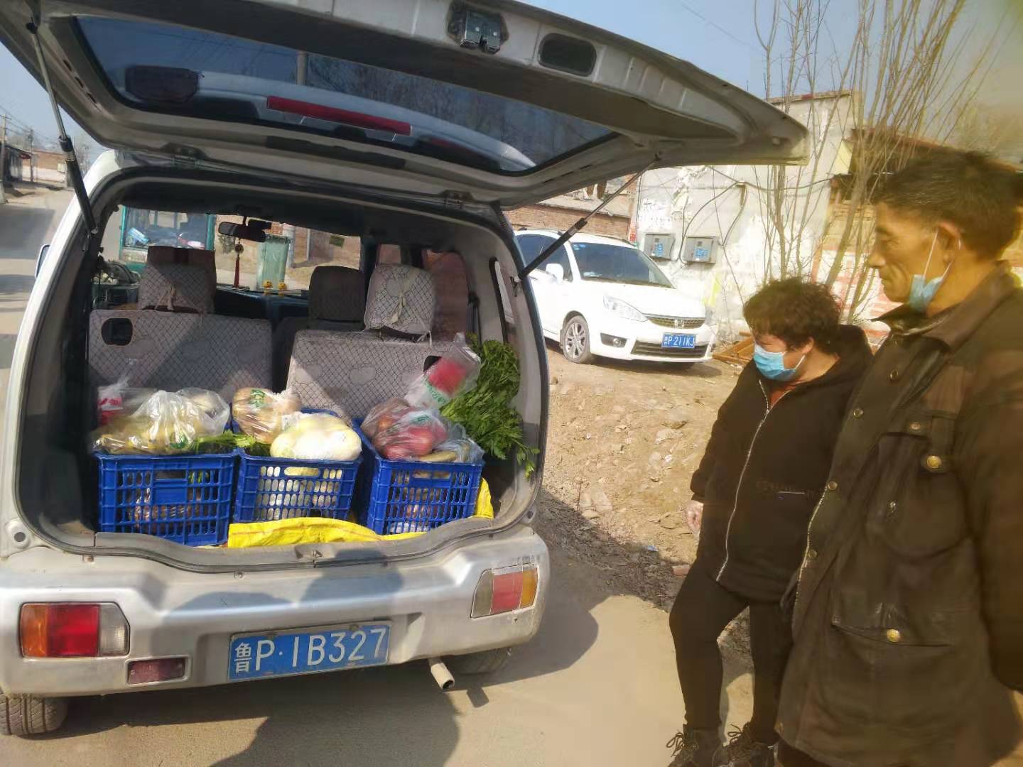 疫情下的农村入党宣誓,疫情下的农村风景