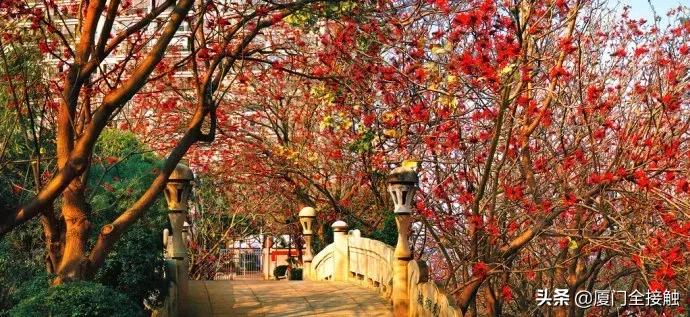 有泉州朋友的，恭喜恭喜！