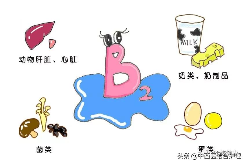 健康科普维生素b族你应该了解的,b族维生素和复合维生素b的区别