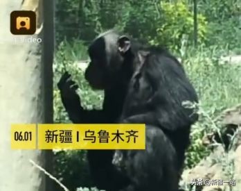 老城回忆乌鲁木齐,乌鲁木齐值得回忆的地方