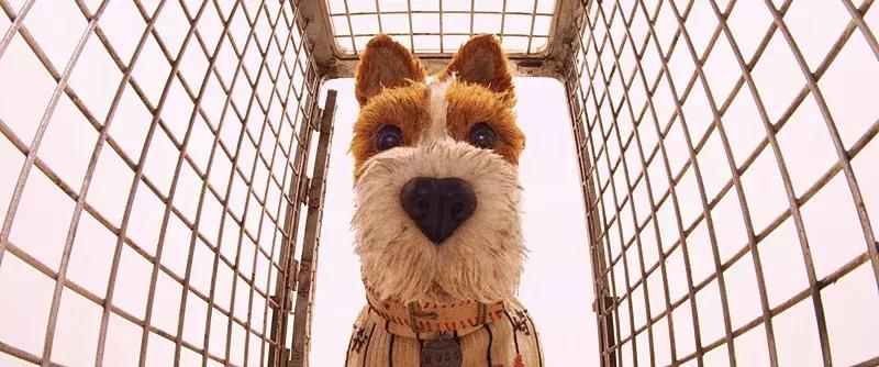 2018年最受欢迎的30部电影,盘点2018年最好看的5部电影