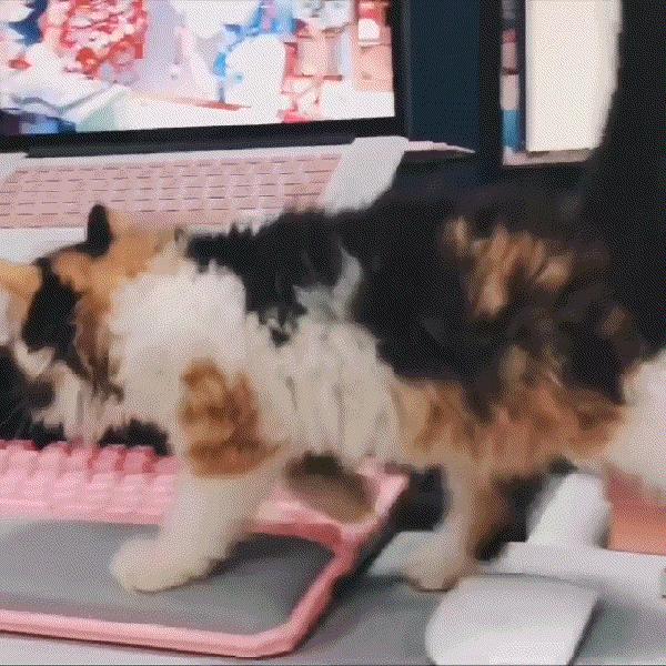 除了互联网还有什么好的行业,除了互联网还有什么行业创业