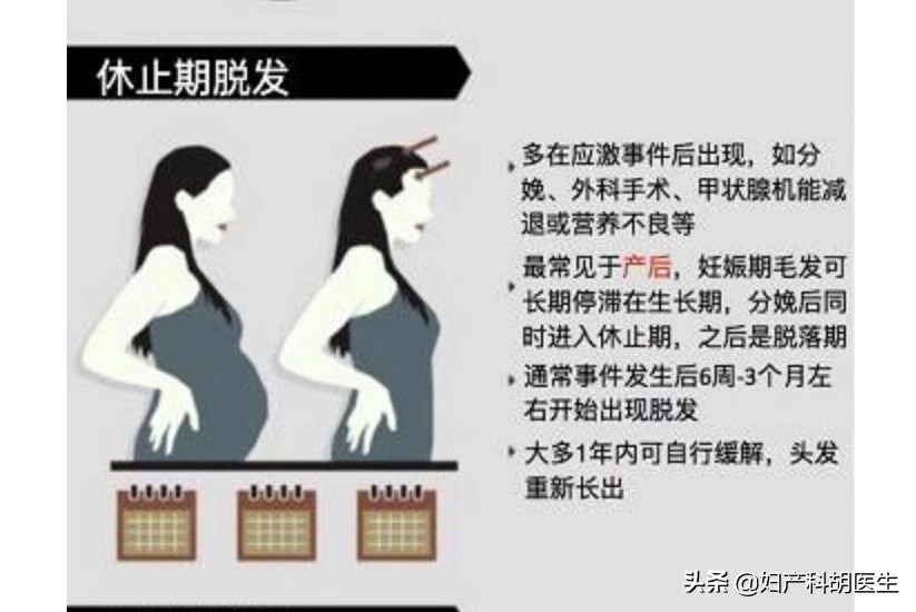 女性脱发因为气血虚产后脱发,秋风扫落叶怎么回事