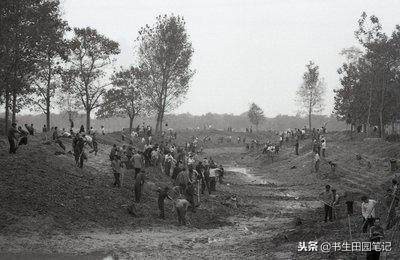 80后回忆哨子糖,八零后童年回忆做哨子