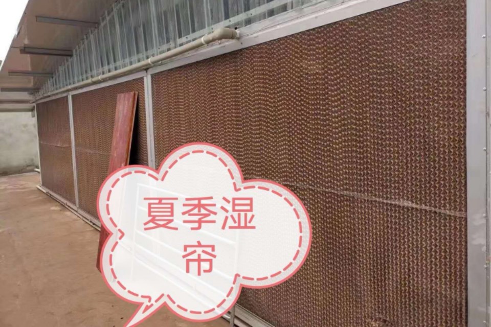 猪养不肥怎么办,猪养殖存在的问题及对策