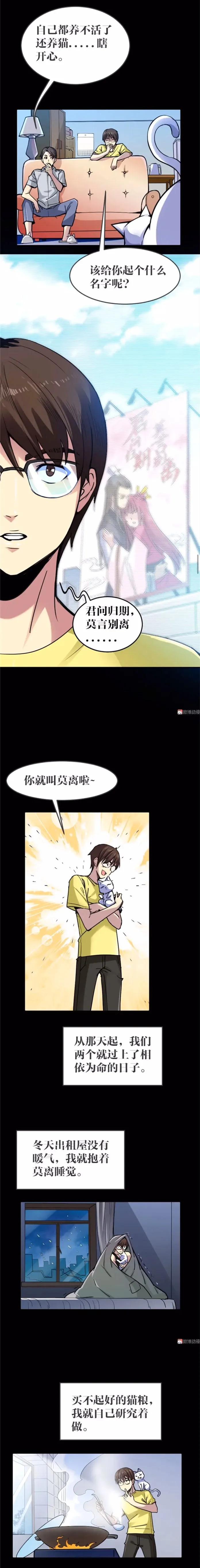 猫咪拟人化漫画,天秤座漫画猫咪