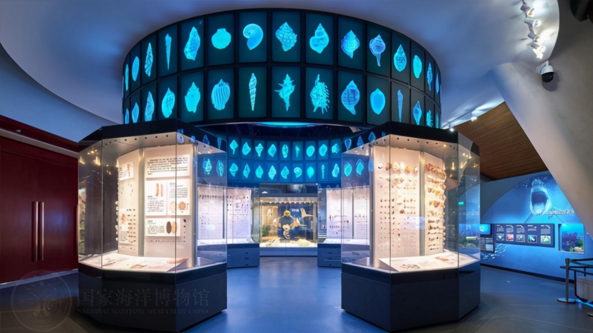 国家海洋博物馆游玩需要多久,天津生态城国家海洋博物馆
