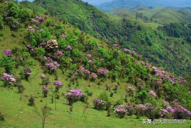 广东最美8个大草原,广东十大草原旅游地