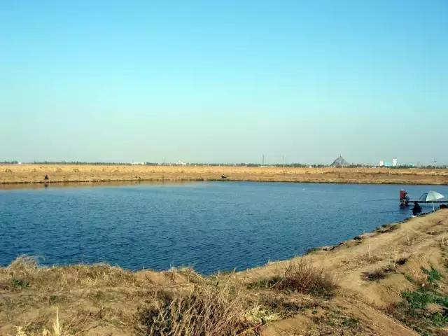 开鱼塘垂钓如何盈利,大爷创业致富项目