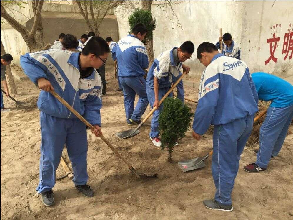 孩子参加劳动实践活动后的感受,小学生参加劳动实践后的感悟