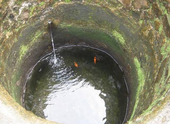 农村水壶用久了水垢太多,自家水井的水水垢太严重怎么办