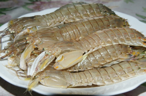 皮皮虾镉超标按什么标准罚摊主,食品皮皮虾镉超标怎么处罚