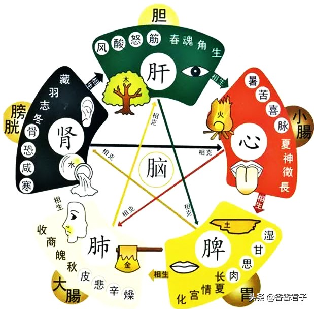 闻香真的有利于健康吗,闻香能治病吗