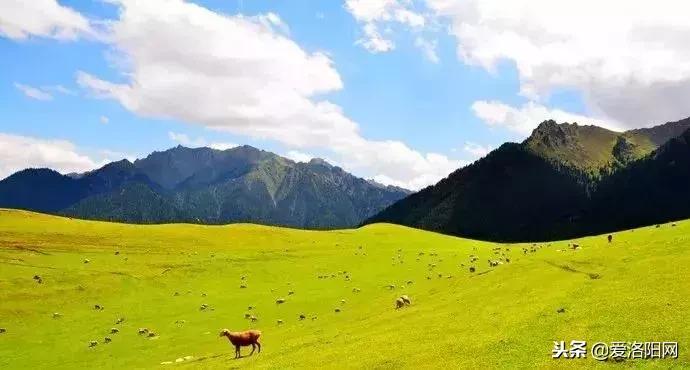 170元机票价格,170元飞机票