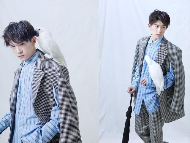 各品牌代言人华为手机,华为手机各款的代言人