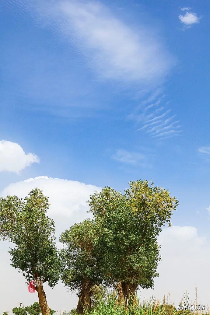 中国66号公路旅游攻略,中国自驾游66条经典线路