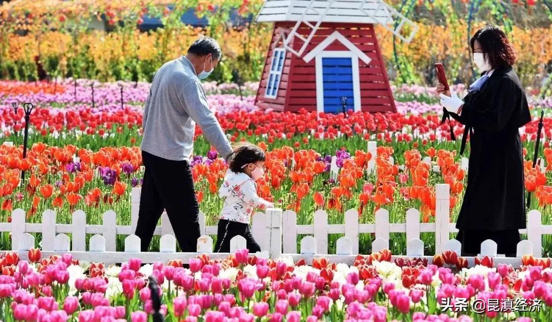 昆明2023年gdp增速,2022年一季度昆明各区县人口及gdp