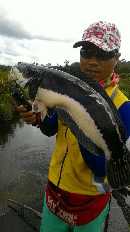 铁血战士打黑武士,铁血战士打特种兵