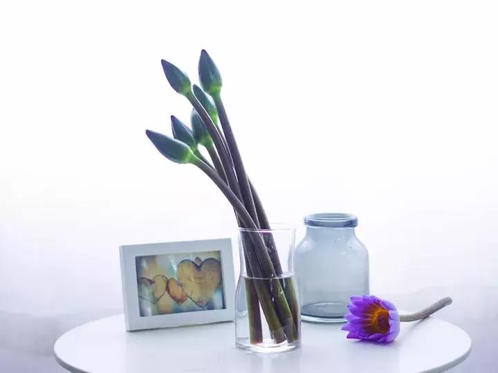 花店不会告诉你的秘密,花店不想告诉你的养花秘密