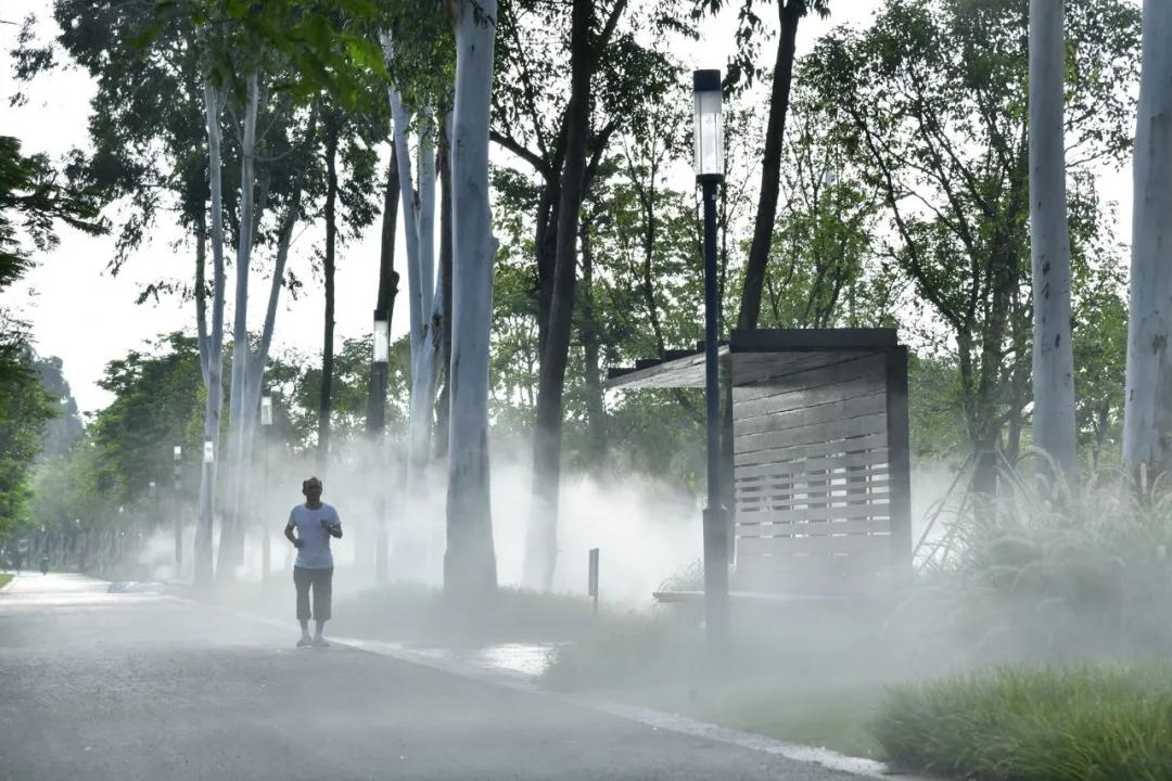 蝶变茅洲河，遇见城之美/同济设计TJAD