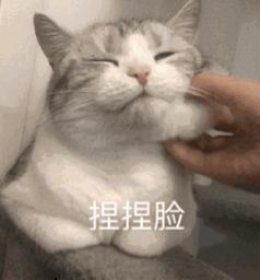 人人都爱吃好吃的美食,人人都爱吃的披萨