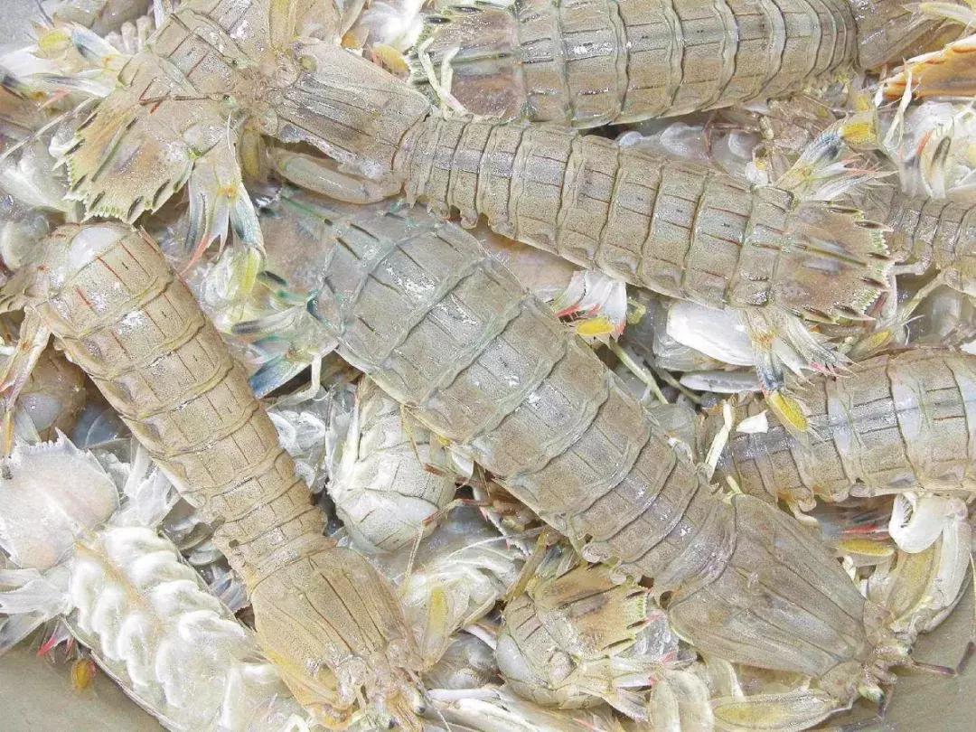 世界最好吃的十大海鲜排行榜,温州最有名的十大海鲜