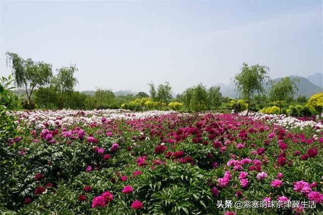 狼牙山附近住宿推荐,口碑好的狼牙山旅游住宿攻略