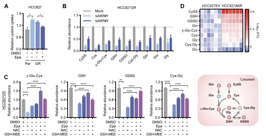 egfr靶向药的副作用,egfrl858r突变吃靶向药多久耐药