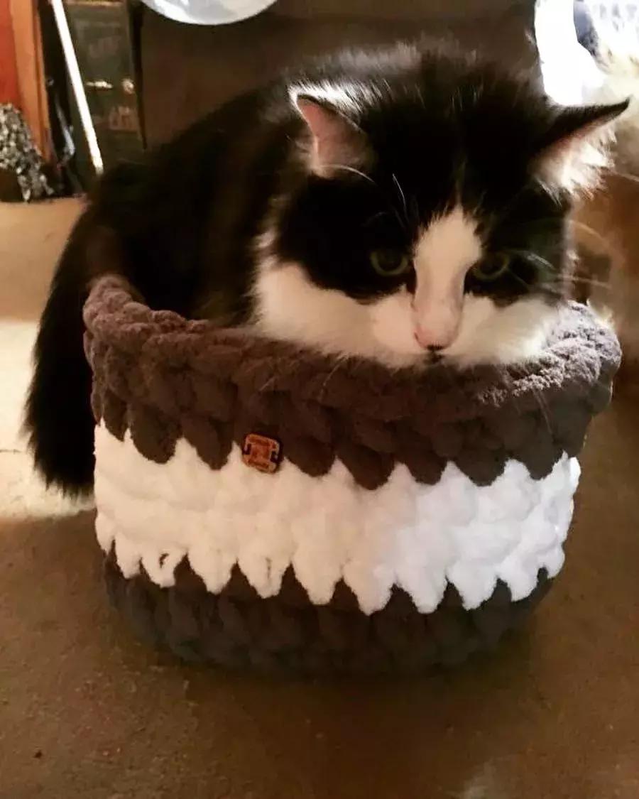 他是非洲弃婴，5岁用钩针，逆袭成美国“全民偶像”，狂吸19万粉