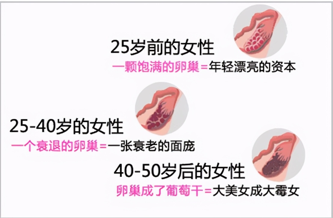 没怀孕查卵巢,计划怀孕需要做什么检查