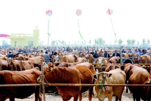 千年古县鸭梨之乡,山东两千年的古县