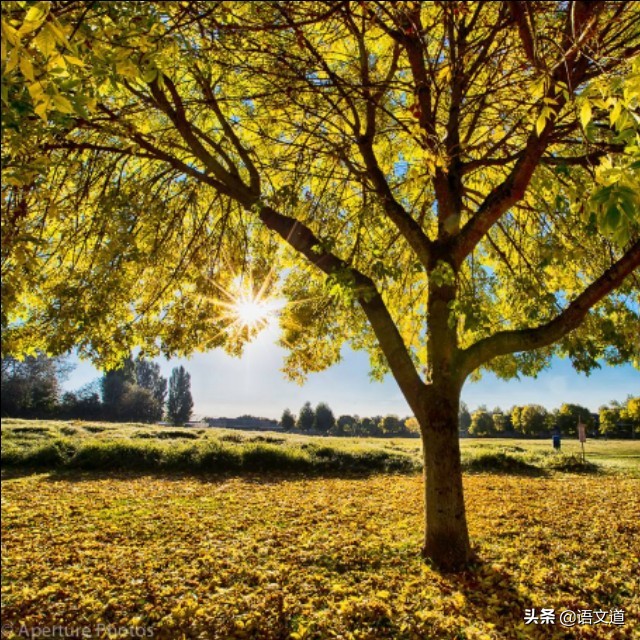 知乎上提问的问题在哪看,知乎上的问答有哪些