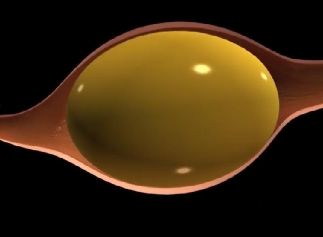 超生动|家禽生殖系统结构和禽蛋形成过程