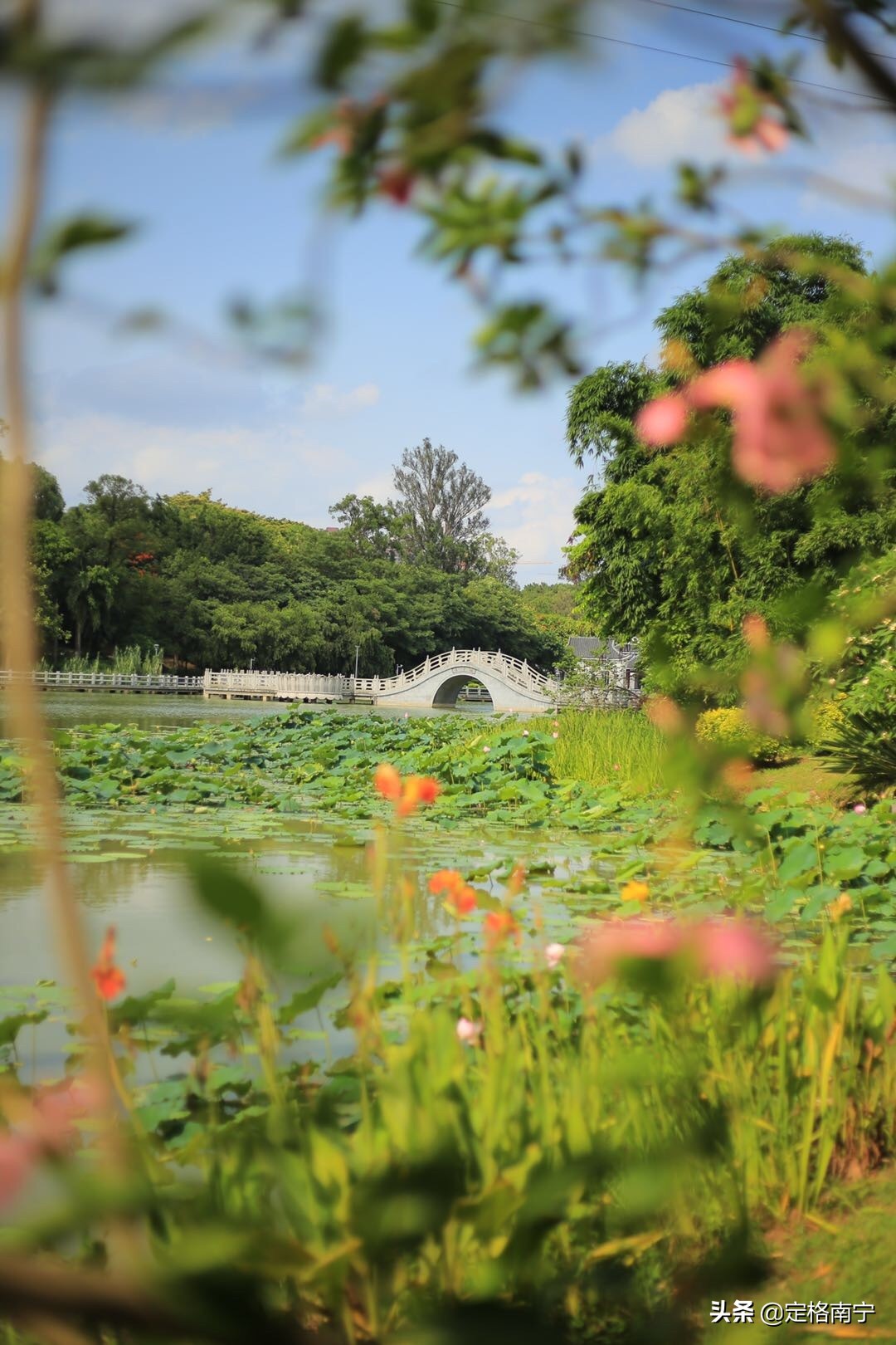 南宁狮山公园晚上开放时间,南宁狮山公园近期有什么玩