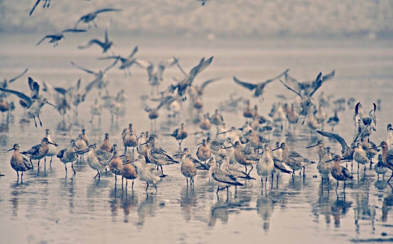 从南到北看祖国,从南到北看尽大好河山